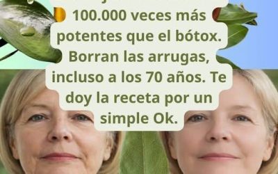 Las hojas de laurel son 100.000 veces más potentes que el bótox. Borran las arrugas, incluso a los 70 años. Deja un “OK” para ver la receta en el primer comentario.😮🤯👇🏻