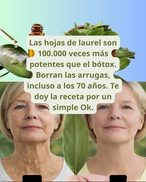 Las hojas de laurel son 100.000 veces más potentes que el bótox. Borran las arrugas, incluso a los 70 años. Deja un “OK” para ver la receta en el primer comentario.😮🤯👇🏻