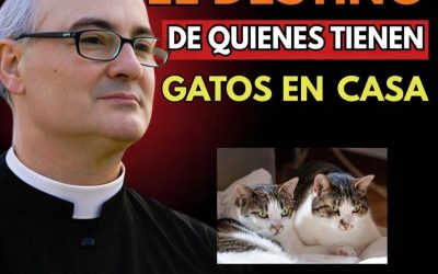 Reflexiones espirituales sobre el significado de tener gatos en casa.
