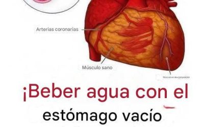 Beber agua con el estómago vacío: lo que realmente dice la ciencia (más allá de la publicidad engañosa)