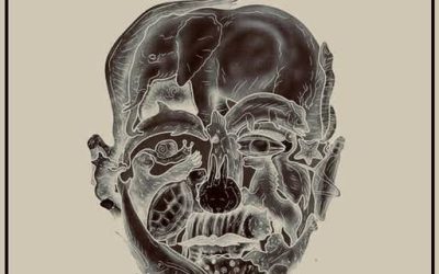 El curioso test visual que promete revelar tu ‘peor defecto’ según el primer animal que veas