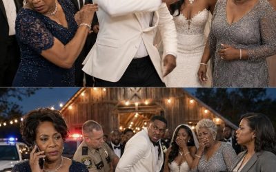 En la boda de mi hija, mi yerno exigió que entregara las llaves de la granja frente a doscientos invitados. Cuando me negué, me abofeteó tanto que perdí el equilibrio…