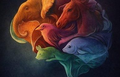 El Primer Animal Que Ves Dice Más de Ti de lo Que Crees (Pero No Como Piensas)