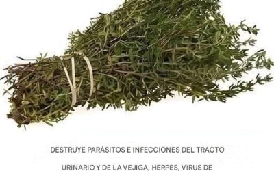 Es una de las plantas más poderosas del mundo.