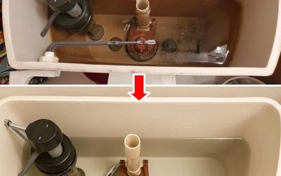Cómo limpiar la cisterna del inodoro y dejarla como nueva…