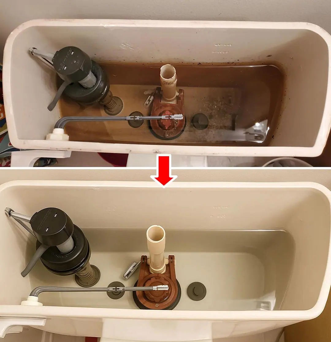 Cómo limpiar la cisterna del inodoro y dejarla como nueva…