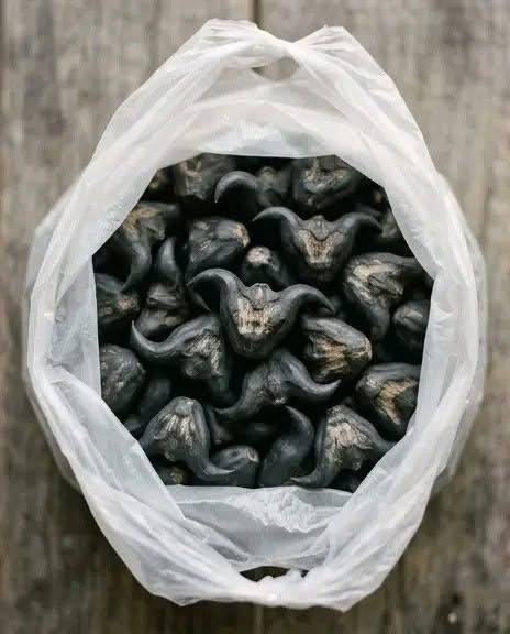 Mi vecino me dio una bolsa de estos. ¿Alguien sabe qué son? ¿Cómo se comen?