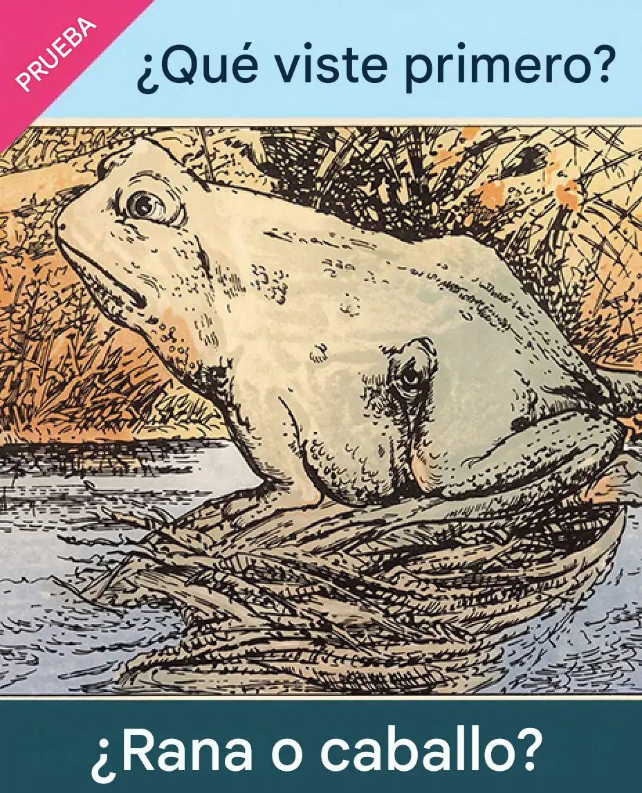 A veces, una imagen no es solo algo que miramos… también es un reflejo de nosotros mismos. 👀✨ Hay días en que vemos una cosa primero, y otros en que nuestra perspectiva cambia.  Por eso este test es tan interesante: lo primero que ves puede indicar qué energía está más activa en ti hoy. 🌿 Mira la imagen y elige la primera forma que aparezca.  ¿Viste primero la rana? 🐸 ¿O el caballo? 🐴