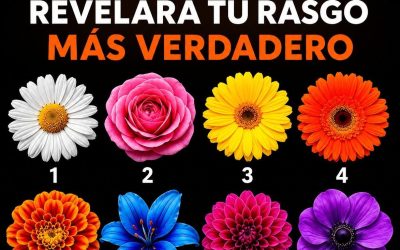 Test de personalidad floral: qué dice tu flor favorita sobre tu forma de ser