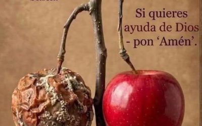 Un mensaje de Dios que no puedes ignorar hoy