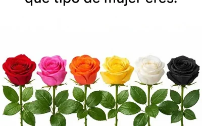 Escoge una rosa y descubre qué tipo de mujer eres.