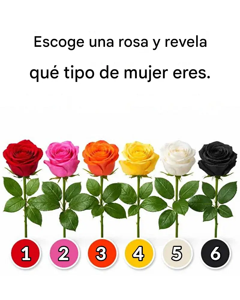 Escoge una rosa y descubre qué tipo de mujer eres.