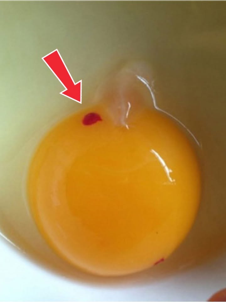 ¿Debemos comer huevos con manchas de sangre?