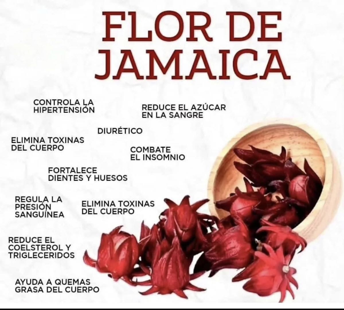 FLOR DE JAMAICA (HIBISCUS): PARA QUÉ SIRVE Y CÓMO USARLA BIEN ¿QUÉ ES?