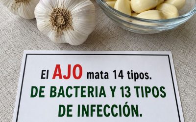 Ajo: el antibiótico natural que combate las infecciones. Para seguir recibiendo mis recetas, solo necesitas decir una cosa… ¡Gracias!…Ver mas