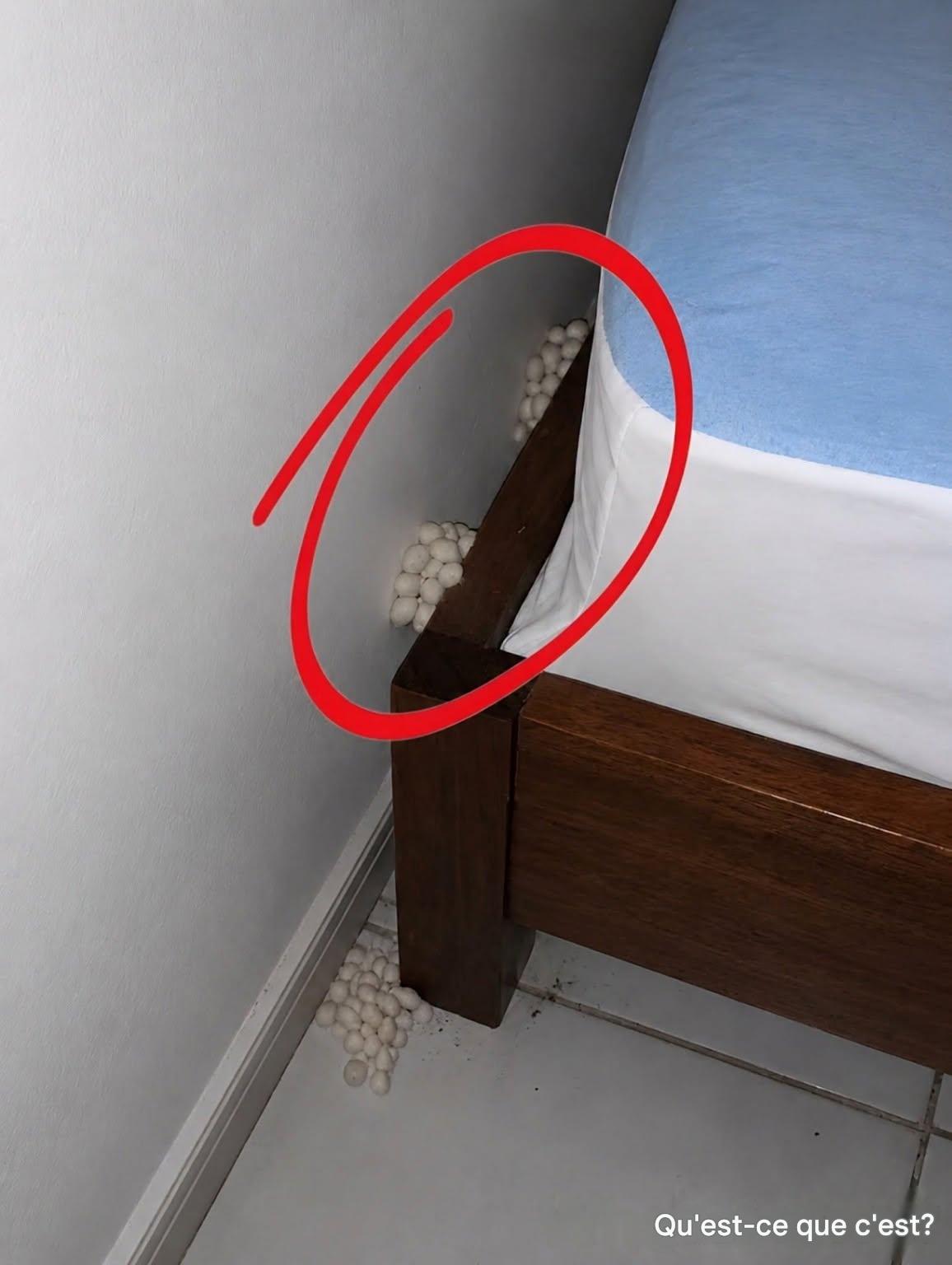 Llegué a casa agotada, con la esperanza de pasar una noche tranquila, pero un detalle me hizo darme cuenta de que algo andaba mal.