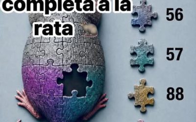 Escribe “sí” para averiguar la respuesta correcta…