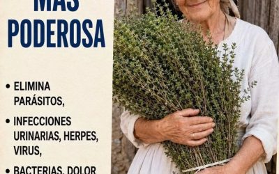 Las hojas milagrosas ancestrales