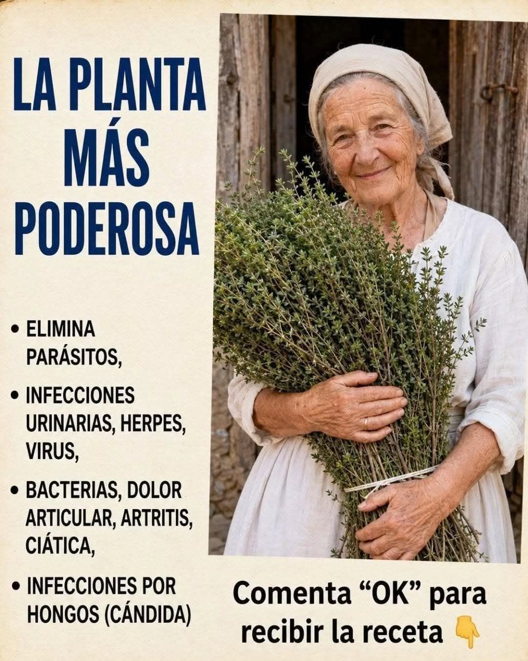 Las hojas milagrosas ancestrales