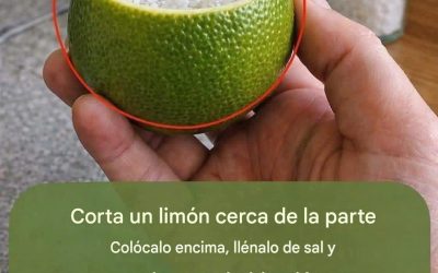 Ambientador con aroma a limón salado