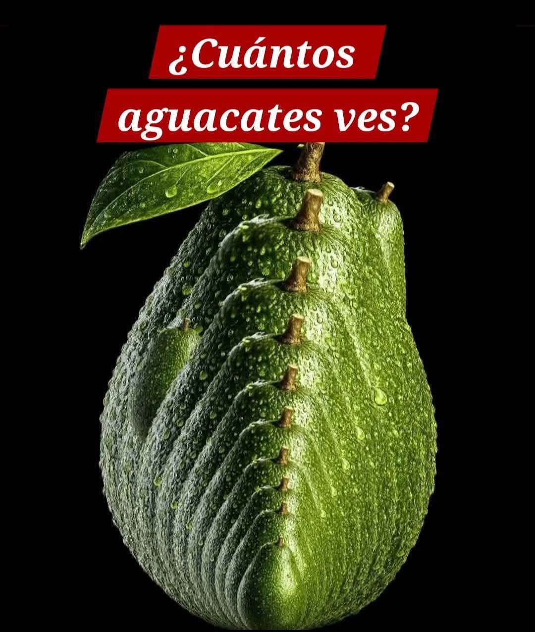 🔥¡No te lo creerás! ¿Cuántos aguacates hay en la foto? ¡El reto que dejó a todos perplejos! (Respuesta en el primer comentario)