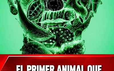 Test visual de personalidad: qué dice de vos el primer animal que ves en la imagen