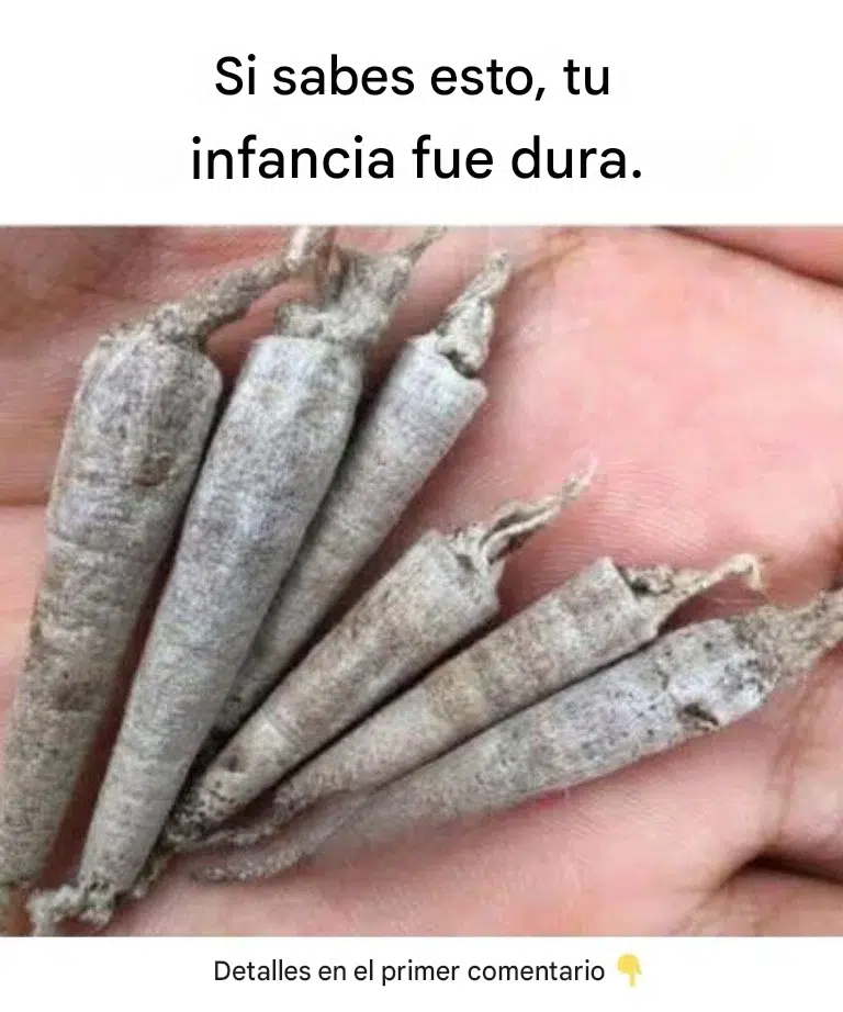 Si recuerdas esto, tu infancia fue diferente.