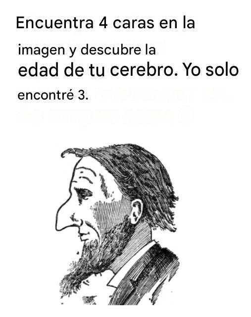 Encuentra 4 caras en la imagen y descubre la edad de tu cerebro. Yo solo encontré 3. ¿ 😱Cuántas caras encontraste tú? 🤔Yo encontré 3…