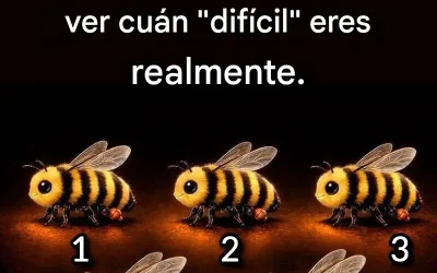 No hagas trampa. Elige el elemento diferente para ver cuán “difícil” eres realmente.