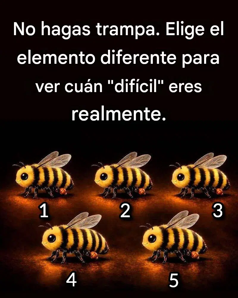 No hagas trampa. Elige el elemento diferente para ver cuán “difícil” eres realmente.