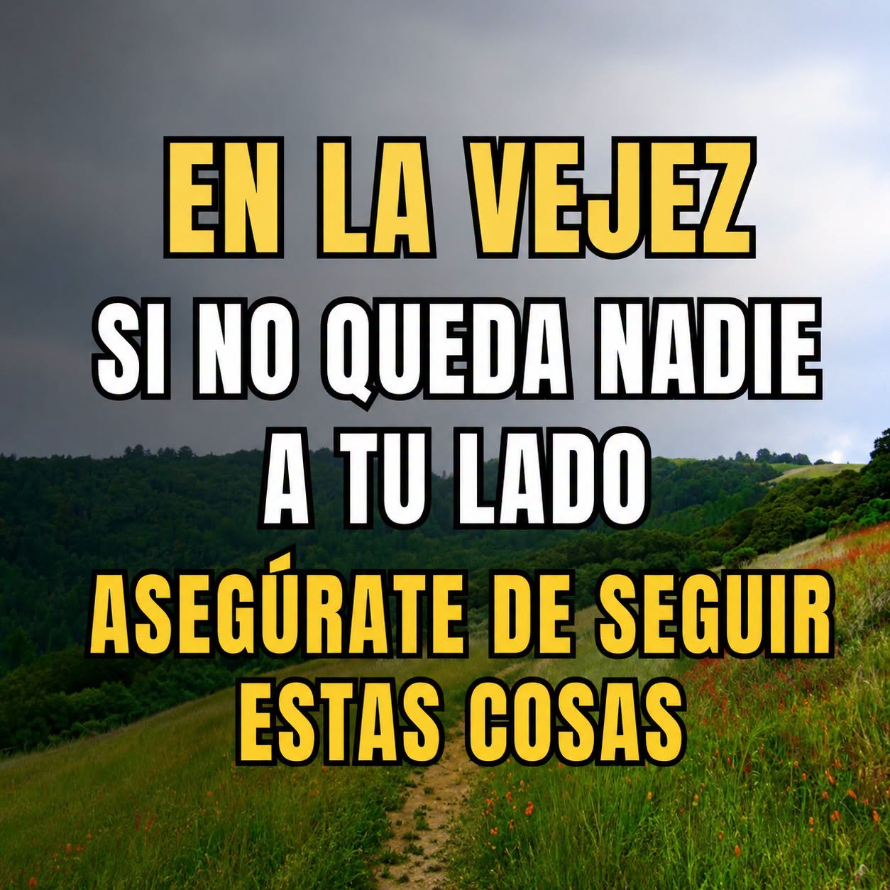 Cómo afrontar la soledad en la vejez: consejos prácticos para adultos mayores que viven solos