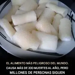 Tóxico si no se prepara correctamente: otra cara de un alimento ampliamente consumido en todo el mundo.