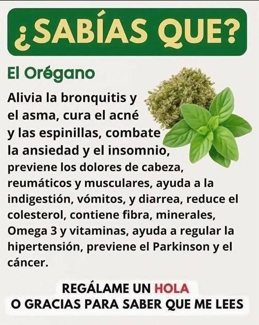 El Orégano: Un Poderoso Aliado Natural para Combatir 15 Problemas de Salud